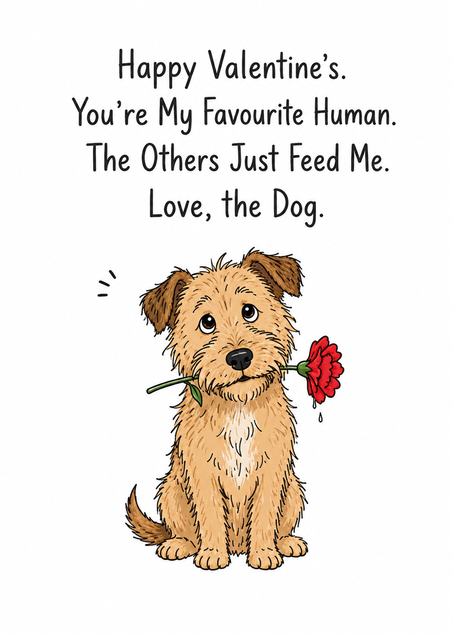 Funny Valentine's card showing a scruffy terrier holding a red carnation in its mouth, by Gigglz
